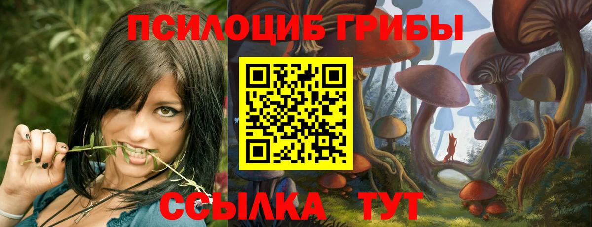 Галлюциногенные грибы Psilocybe  Вход с VPN  где купить   Псилоцибиновые грибы Cubensis  Чапаевск 